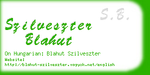 szilveszter blahut business card